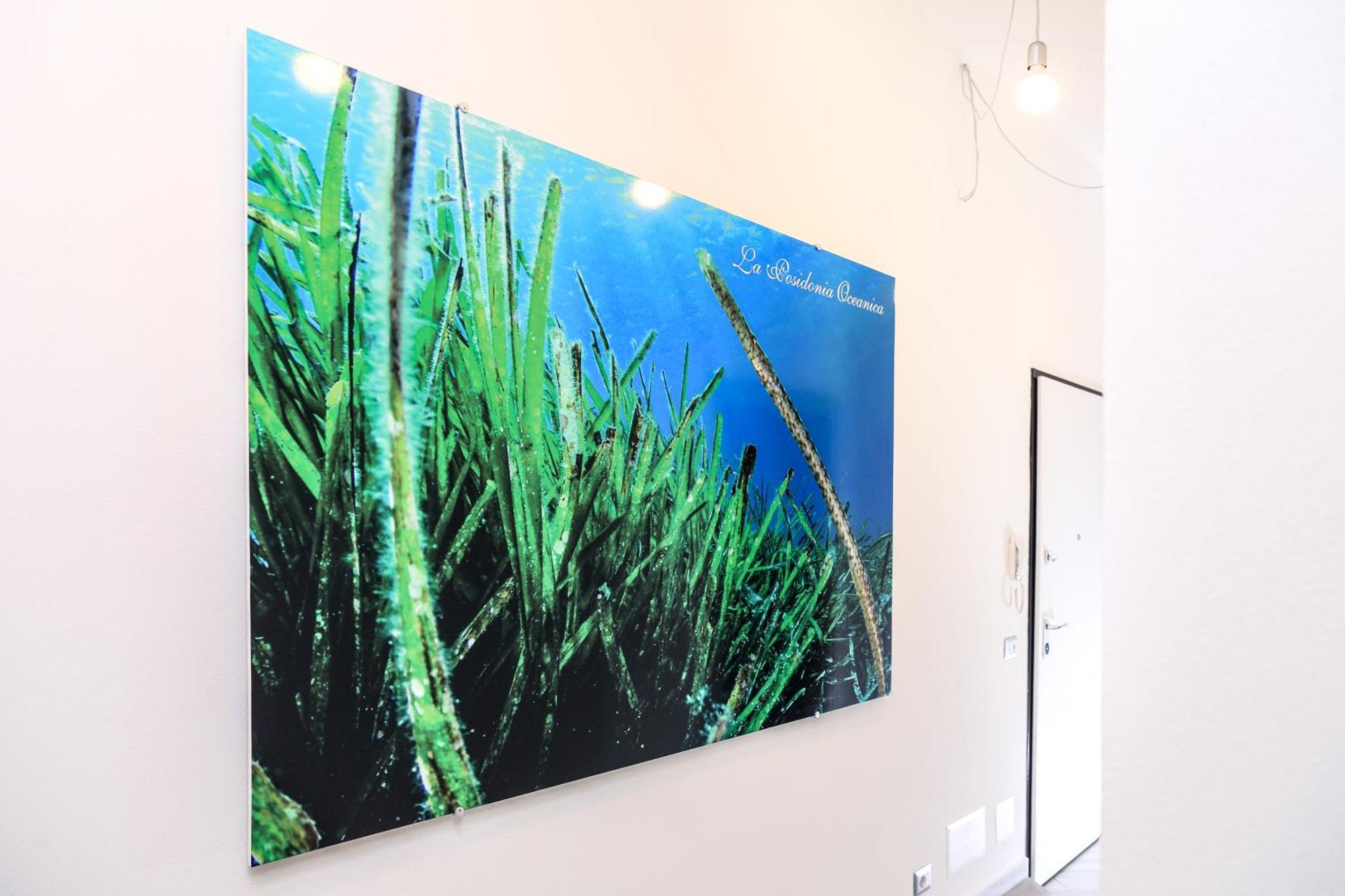 La Posidonia Oceanica Bed & Breakfast อาลเกโร ภายนอก รูปภาพ